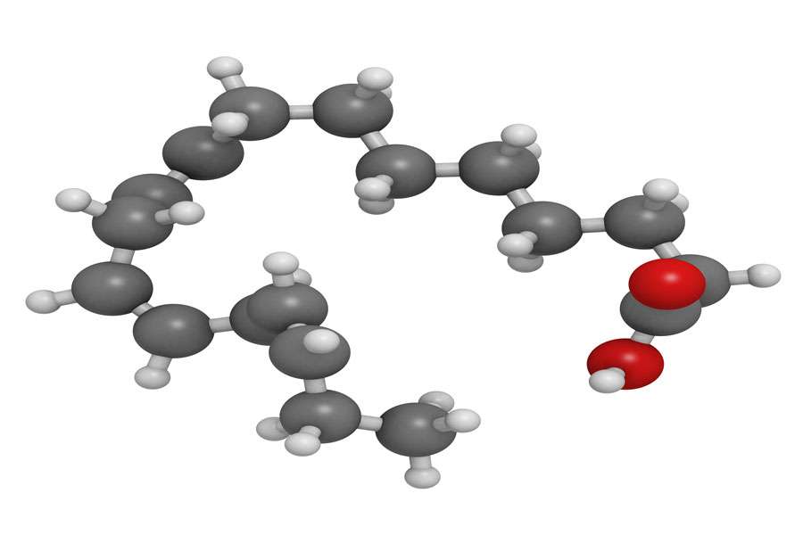 Molecular Model of alpha-linolenic acid (ALA)
