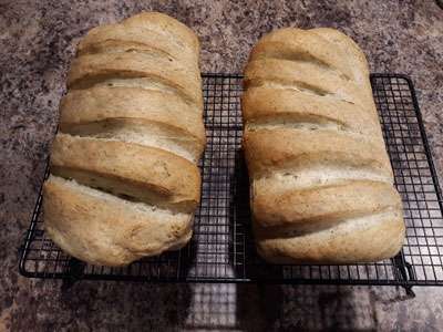 Algae Bread ready to eat!