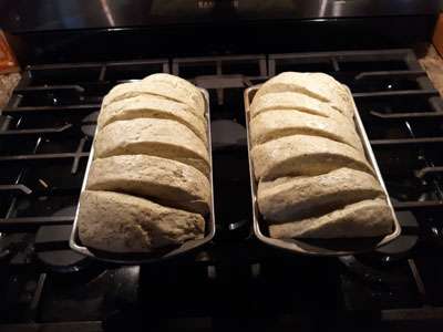 Algae Bread coming out of the Oven