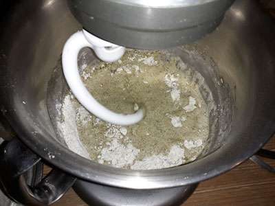 Mixing the Algae Bread dough