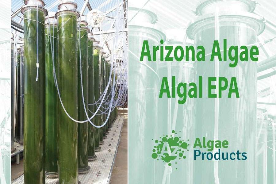 Arizona Algae Products LLC poster for the SupplySide West trade show in Las Vegas showing photo-bioreactors growing algae.