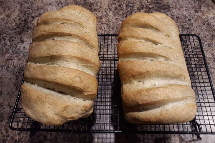 Homemade Algae Bread
