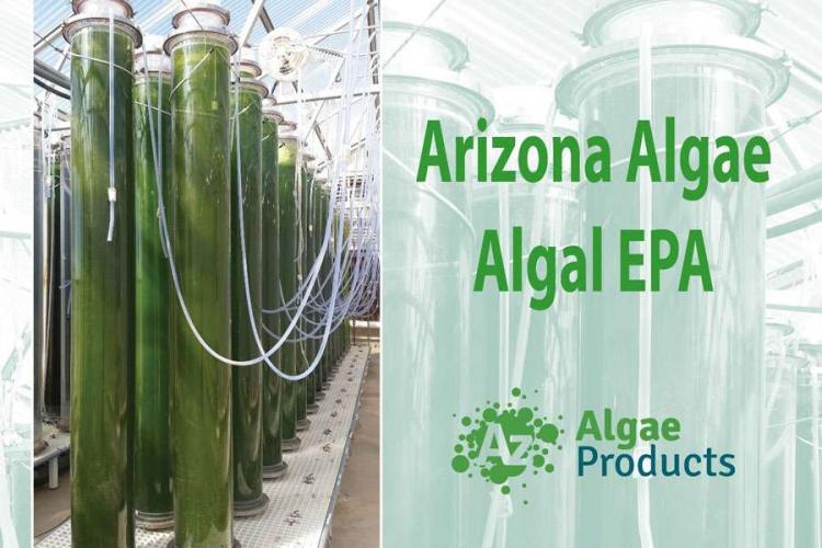 Arizona Algae Products LLC poster for the SupplySide West trade show in Las Vegas showing photo-bioreactors growing algae.