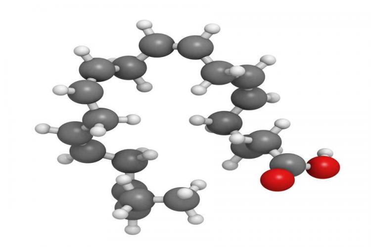 Eicosapentaenoic Acid (EPA) Omega-3 Fatty Acid Molecular Model