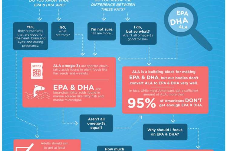 Test Your Omega-3 IQ Poster by GOED