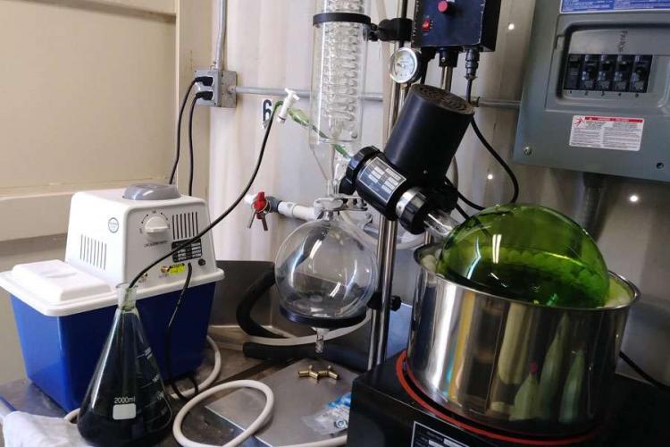 R&D Lab Setup with Rotary Evaporator used to prepare Algal Extracts