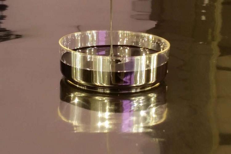 EPA15-plus full spectrum algae EPA omega3 extract by Arizona Algae Products LLC